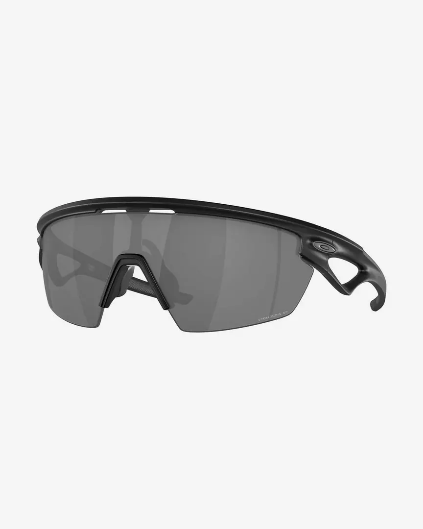 Matte Black · Prizm Black Polarized